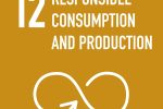 SDG 12