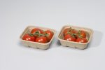 Emballage de tomates - Barquettes Pulpe